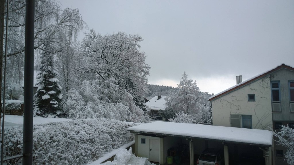 2015 - Ein Rückblick auf ein Jahr voller Ereignisse!